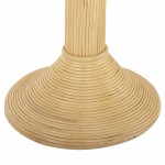 ΔΙΑΚΟΣΜΗΤΙΚΟ ΔΕΝΤΡΟ COCOON HM4319 τ.ΚΟΚΟΦΟΙΝΙΚΑ ΑΠΟ ΦΥΣΙΚΟ RATTAN Φ88x84Υεκ.