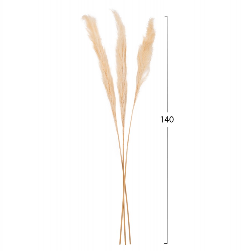 ΔΙΑΚΟΣΜΗΤΙΚΟ ΜΠΟΥΚΕΤΟ ΑΠΟΞΗΡΑΜΕΝΑ ΚΑΛΑΜΙΑ HM7961 ΛΕΥΚΟ 3TMX 140Υεκ.