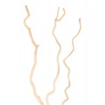 ΔΙΑΚΟΣΜΗΤΙΚΟ ΜΠΟΥΚΕΤΟ HM7967 3ΤΜΧ ΑΠΟΞΗΡΑΜΕΝΩΝ ΚΛΑΔΙΩΝ ΛΕΥΚΗΣ ΜΟΥΡΙΑΣ ΕΚΡΟΥ 180Υεκ.