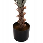 ΔΙΑΚΟΣΜΗΤΙΚΟ ΣΥΝΘΕΤΙΚΟ ΦΥΤΟ HM7987 SISAL AGAVE ΣΕ ΓΛΑΣΤΡΑ 120Υεκ.