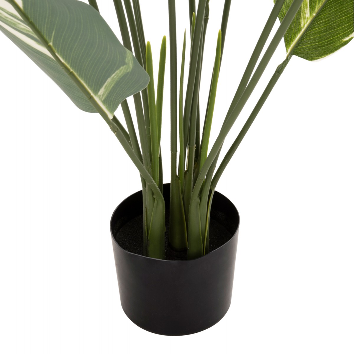 ΔΙΑΚΟΣΜΗΤΙΚΟ ΣΥΝΘΕΤΙΚΟ ΦΥΤΟ HM7997 CALATHEA ΣΕ ΓΛΑΣΤΡΑ 140Υεκ.