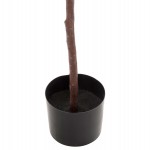 ΔΙΑΚΟΣΜΗΤΙΚΟ ΣΥΝΘΕΤΙΚΟ ΦΥΤΟ HM4000 ΔΡΥΣ ΣΕ ΓΛΑΣΤΡΑ Φ18x14,5-160Υεκ