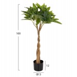 ΔΙΑΚΟΣΜΗΤΙΚΟ ΣΥΝΘΕΤΙΚΟ ΦΥΤΟ HM4002 ΠΑΧΥΡΑ ΣΕ ΓΛΑΣΤΡΑ 100Υεκ.