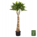 ΔΙΑΚΟΣΜΗΤΙΚΟ ΣΥΝΘΕΤΙΚΟ ΦΥΤΟ HM4002 ΠΑΧΥΡΑ ΣΕ ΓΛΑΣΤΡΑ 100Υεκ.