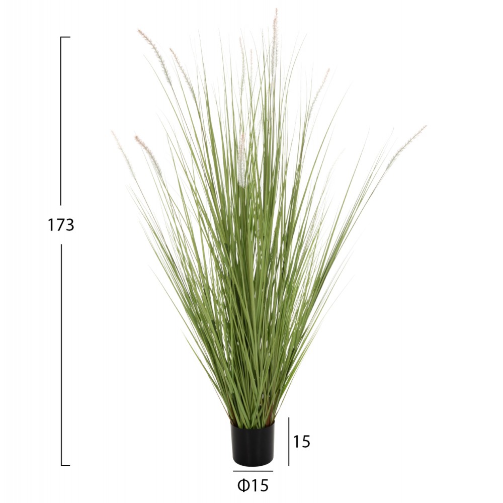 ΔΙΑΚΟΣΜΗΤΙΚΟ ΣΥΝΘΕΤΙΚΟ ΦΥΤΟ HM4017 BRISTLEGRASS ΣΕ ΓΛΑΣΤΡΑ 173Υεκ.