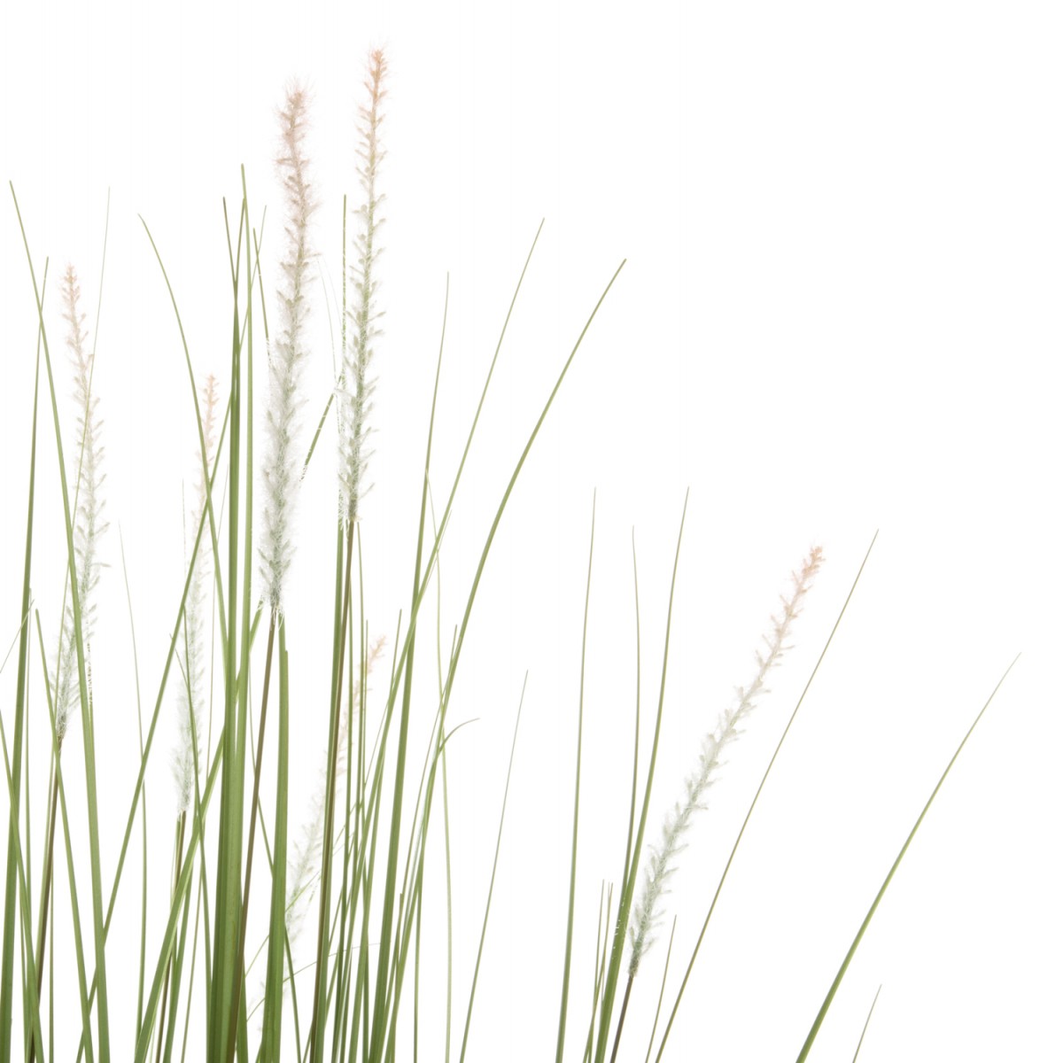 ΔΙΑΚΟΣΜΗΤΙΚΟ ΣΥΝΘΕΤΙΚΟ ΦΥΤΟ HM4017 BRISTLEGRASS ΣΕ ΓΛΑΣΤΡΑ 173Υεκ.