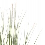 ΔΙΑΚΟΣΜΗΤΙΚΟ ΣΥΝΘΕΤΙΚΟ ΦΥΤΟ HM4017 BRISTLEGRASS ΣΕ ΓΛΑΣΤΡΑ 173Υεκ.