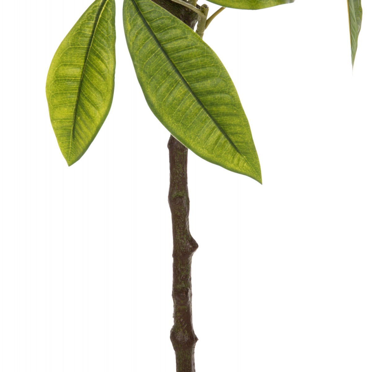 ΔΙΑΚΟΣΜΗΤΙΚΟ ΣΥΝΘΕΤΙΚΟ ΦΥΤΟ HM4018 ΠΑΧΥΡΑ ΜΕ ΓΛΑΣΤΡΑ 125Υ εκ.