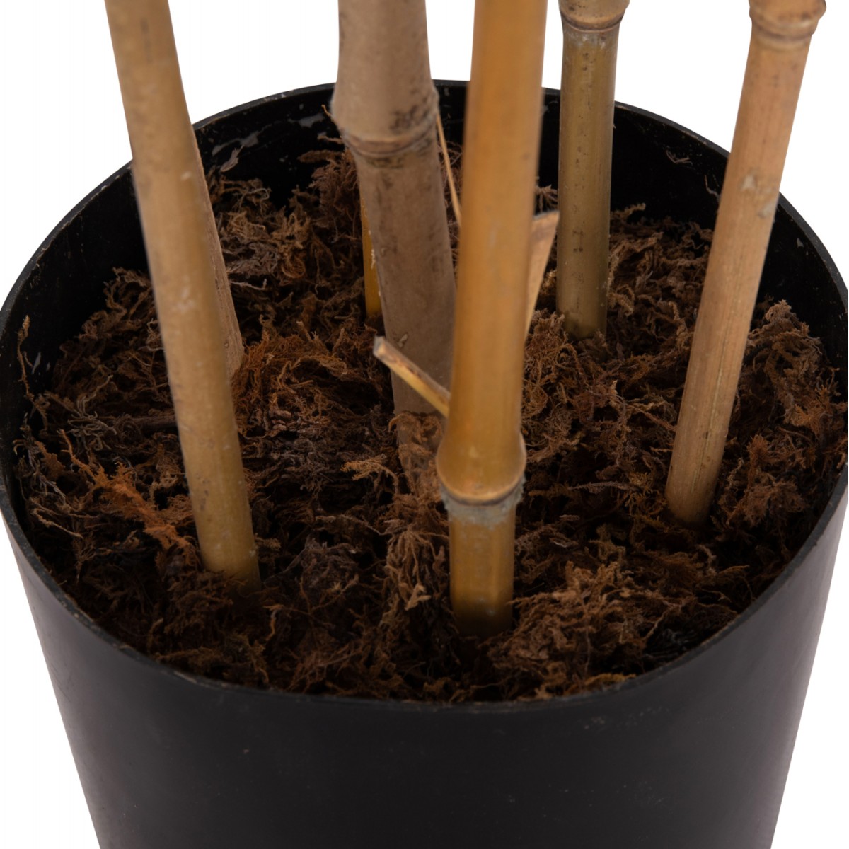 ΔΙΑΚΟΣΜΗΤΙΚΟ ΣΥΝΘΕΤΙΚΟ ΦΥΤΟ HM4736 BAMBOO ΣΕ ΓΛΑΣΤΡΑ 20x95x180Υεκ.