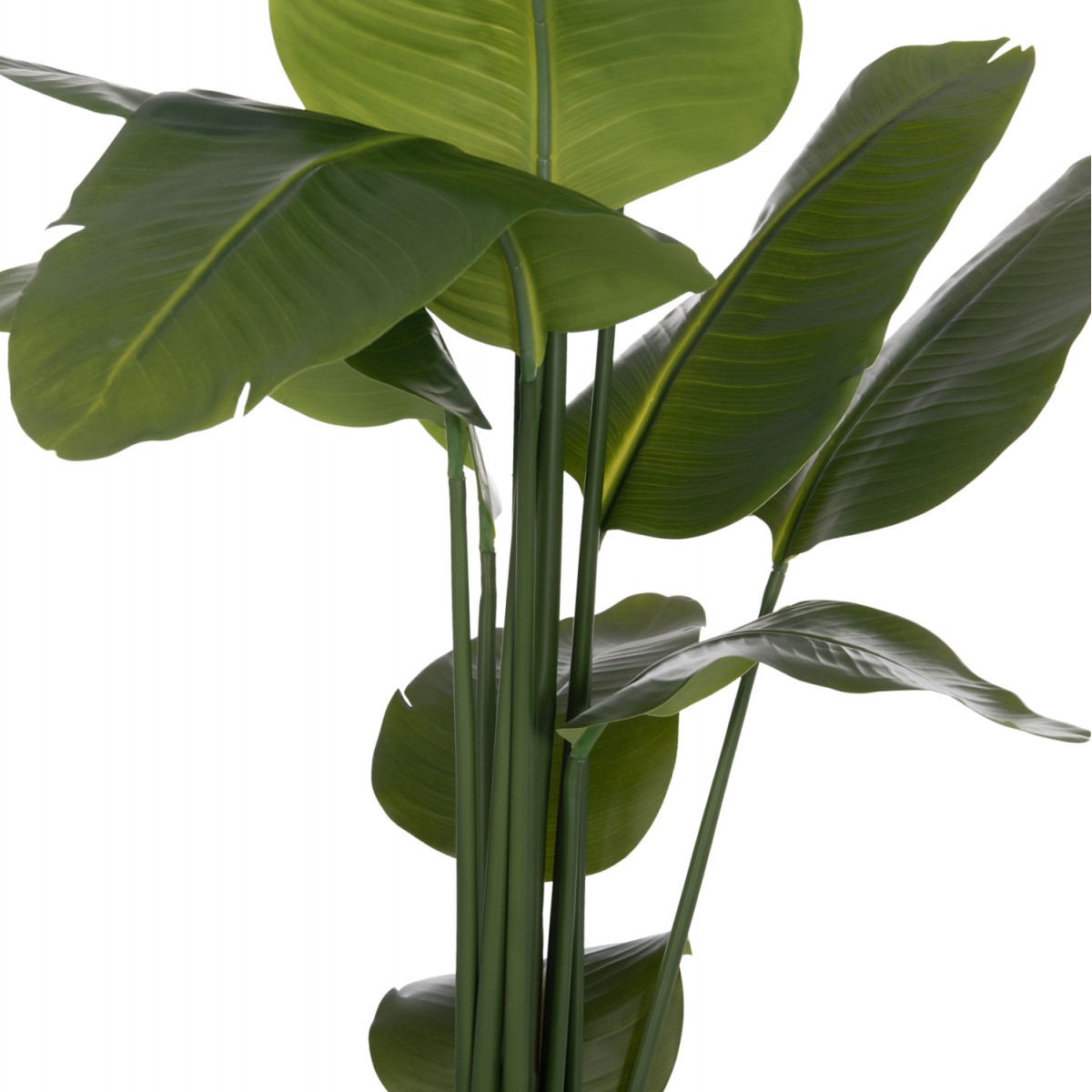 ΔΙΑΚΟΣΜΗΤΙΚΟ ΣΥΝΘΕΤΙΚΟ ΦΥΤΟ HM4739 ΣΤΡΕΛΙΤΣΙΑ ΣΕ ΓΛΑΣΤΡΑ Φ18x172Υεκ.