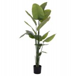 ΔΙΑΚΟΣΜΗΤΙΚΟ ΣΥΝΘΕΤΙΚΟ ΦΥΤΟ HM4739 ΣΤΡΕΛΙΤΣΙΑ ΣΕ ΓΛΑΣΤΡΑ Φ18x172Υεκ.