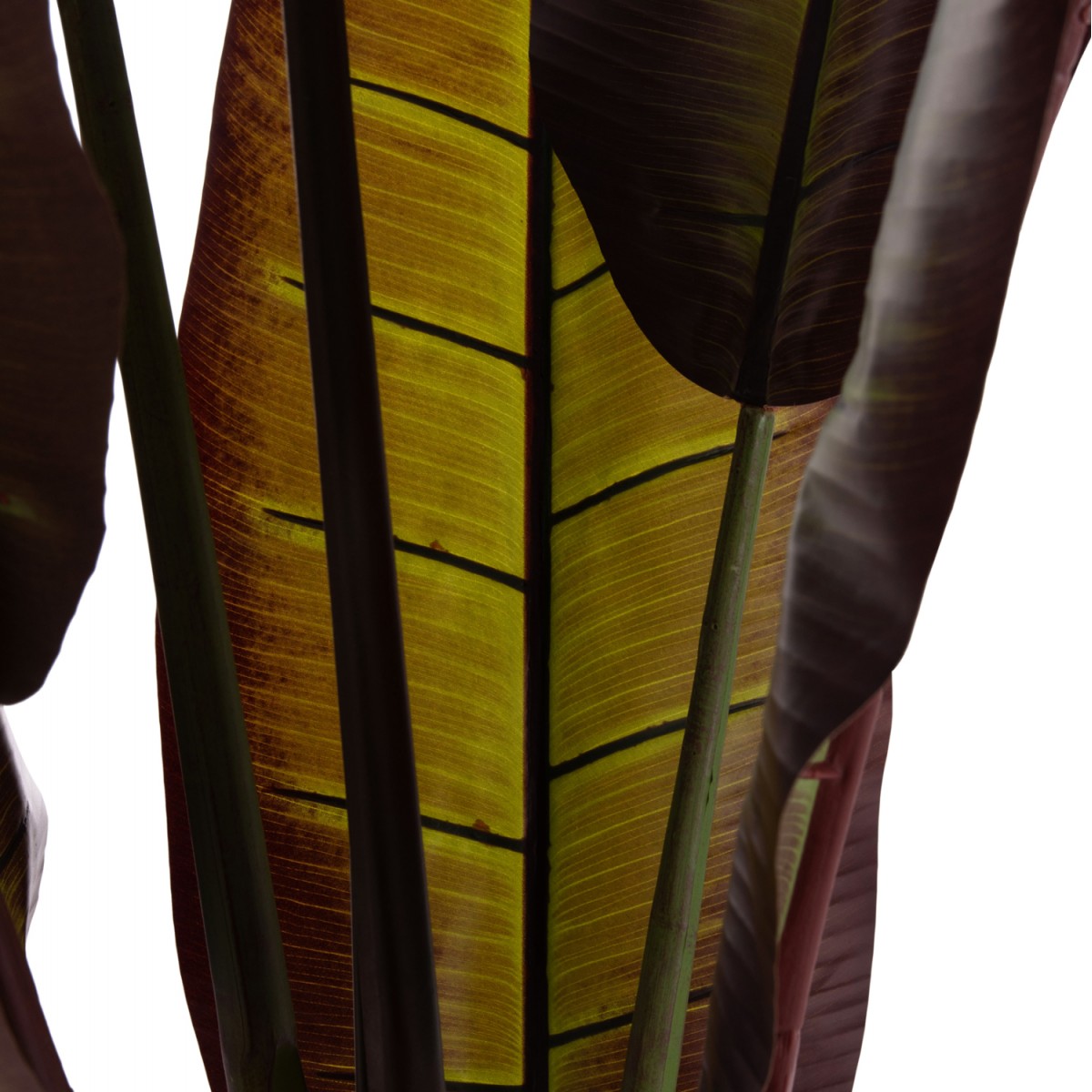 ΔΙΑΚΟΣΜΗΤΙΚΟ ΣΥΝΘΕΤΙΚΟ ΦΥΤΟ HM4740 ΙΑΠΩΝΙΚΗ ΜΠΑΝΑΝΑ ΣΕ ΓΛΑΣΤΡΑ 85x75x225Υεκ.