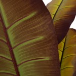 ΔΙΑΚΟΣΜΗΤΙΚΟ ΣΥΝΘΕΤΙΚΟ ΦΥΤΟ HM4740 ΙΑΠΩΝΙΚΗ ΜΠΑΝΑΝΑ ΣΕ ΓΛΑΣΤΡΑ 85x75x225Υεκ.