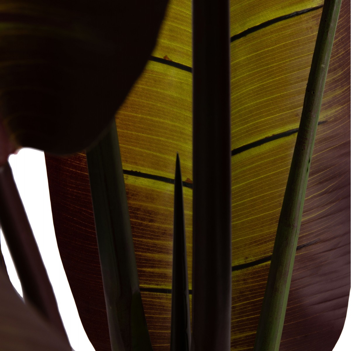 ΔΙΑΚΟΣΜΗΤΙΚΟ ΣΥΝΘΕΤΙΚΟ ΦΥΤΟ HM4740 ΙΑΠΩΝΙΚΗ ΜΠΑΝΑΝΑ ΣΕ ΓΛΑΣΤΡΑ 85x75x225Υεκ.