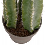 ΔΙΑΚΟΣΜΗΤΙΚΟ ΣΥΝΘΕΤΙΚΟ ΦΥΤΟ HM4741 ΚΑΚΤΟΣ ΜΕ ΓΛΑΣΤΡΑ Φ19,5x141Υεκ.