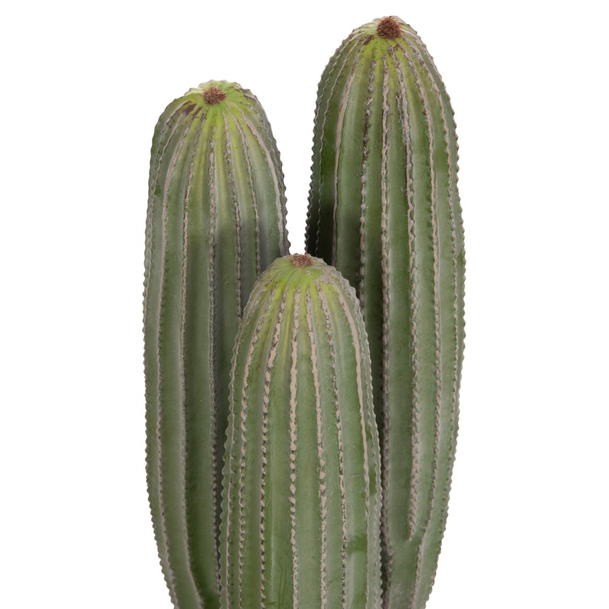 ΔΙΑΚΟΣΜΗΤΙΚΟ ΣΥΝΘΕΤΙΚΟ ΦΥΤΟ HM4743 ΚΑΚΤΟΣ ΜΕ ΓΛΑΣΤΡΑ Φ16x62Υεκ.