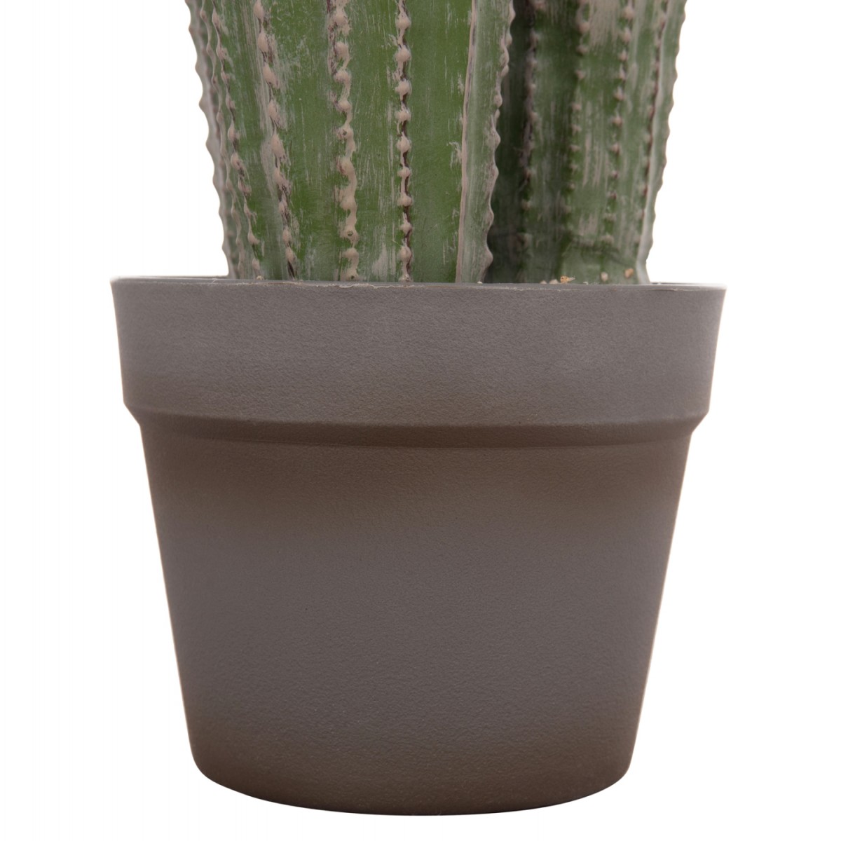 ΔΙΑΚΟΣΜΗΤΙΚΟ ΣΥΝΘΕΤΙΚΟ ΦΥΤΟ HM4743 ΚΑΚΤΟΣ ΜΕ ΓΛΑΣΤΡΑ Φ16x62Υεκ.