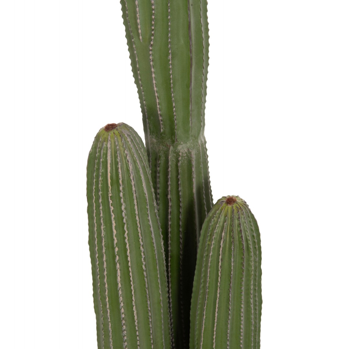 ΔΙΑΚΟΣΜΗΤΙΚΟ ΣΥΝΘΕΤΙΚΟ ΦΥΤΟ HM4745 ΚΑΚΤΟΣ ΜΕ ΓΛΑΣΤΡΑ Φ17,5x144Υεκ.