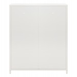 ΜΕΤΑΛΛΙΚΟ ΝΤΟΥΛΑΠΙ ΒΙΤΡΙΝΑ CARIL HM9571.02 ΛΕΥΚΟ 80x37-40x102Yεκ.