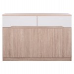 ΜΠΟΥΦΕΣ JOLENE HM2234.02 2 ΣΥΡΤΑΡΙΑ & 4 ΠΟΡΤΕΣ SONAMA 120X40X80εκ.