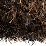 ΦΩΤΙΣΤΙΚΟ ΟΡΟΦΗΣ ORDEM HM4715 ΚΑΠΕΛΟ ΙΝΕΣ SISAL & ΜΠΑΝΑΝΑΣ-ΜΑΥΡΟ & ΦΥΣΙΚΟ Φ75εκ