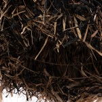 ΦΩΤΙΣΤΙΚΟ ΟΡΟΦΗΣ ORDEM HM4716 ΚΑΠΕΛΟ ΙΝΕΣ SISAL & ΜΠΑΝΑΝΑΣ-ΜΑΥΡΟ & ΦΥΣΙΚΟ Φ60x50Υεκ