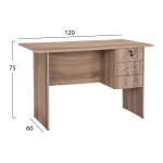 ΓΡΑΦΕΙΟ ΜΕΛΑΜΙΝΗΣ HAYDEN 120x60x75Υεκ. ΜΕ 3 ΣΥΡΤΑΡΙΑ ΣΕ ΧΡΩΜΑ SONAMA HM2268.02