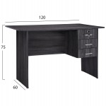 ΓΡΑΦΕΙΟ ΜΕΛΑΜΙΝΗΣ HAYDEN 120x60x75Υεκ.ΜΕ 3 ΣΥΡΤΑΡΙΑ ΣΕ ΑΝΘΡΑΚΙ ΧΡΩΜΑ HM2268.01