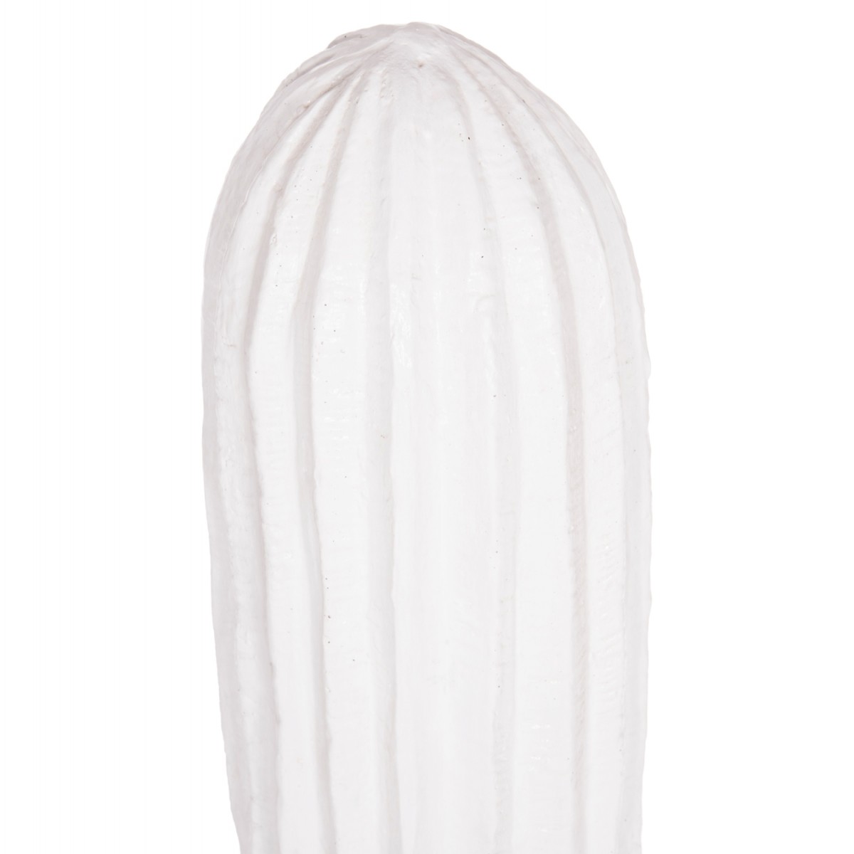 ΔΙΑΚΟΣΜΗΤΙΚΟΣ ΚΑΚΤΟΣ ΔΑΠΕΔΟΥ CACTUS HM4386.02L ΓΥΨΟΣ ΣΕ ΛΕΥΚΟ 63x37x150Υεκ.