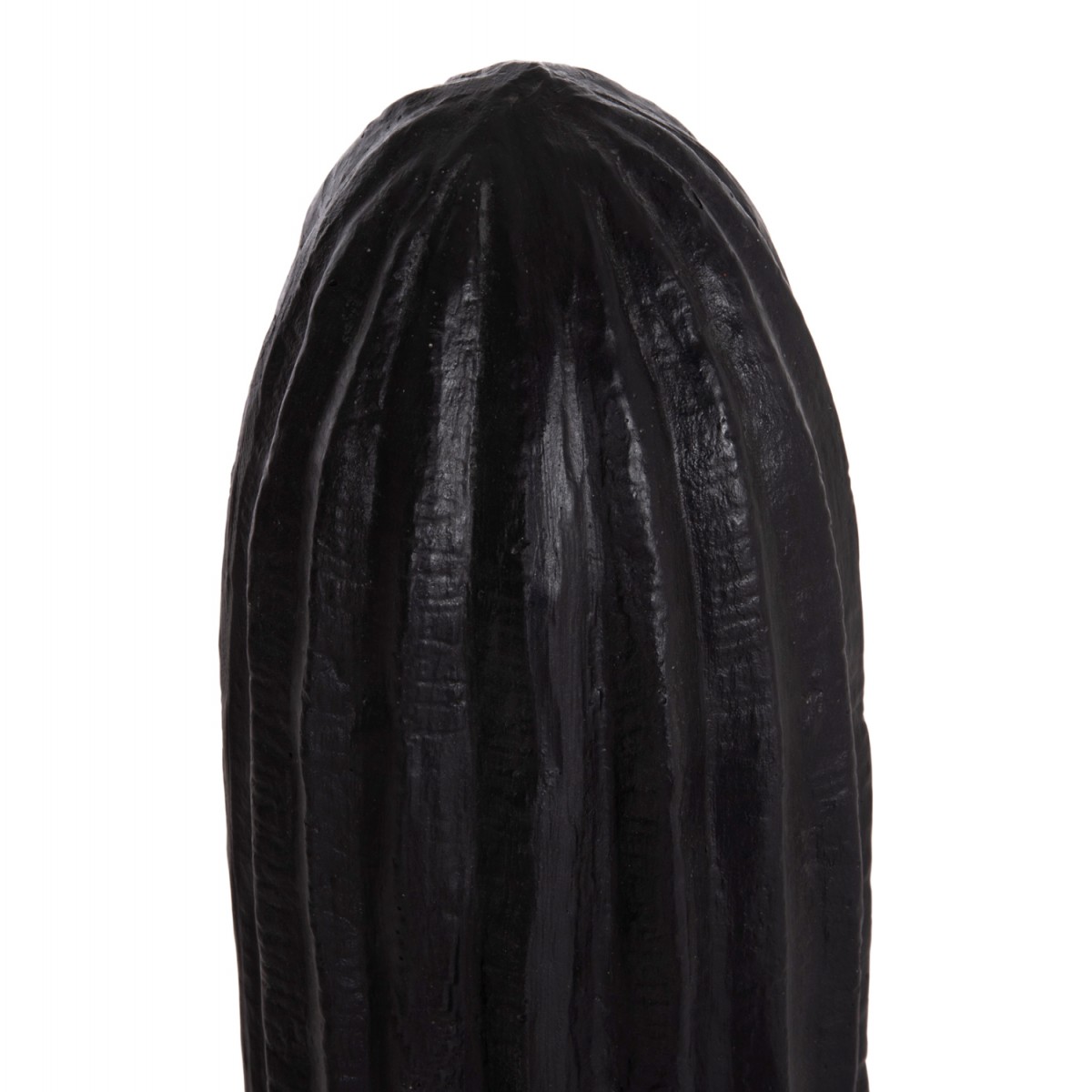 ΔΙΑΚΟΣΜΗΤΙΚΟΣ ΚΑΚΤΟΣ ΔΑΠΕΔΟΥ CACTUS HM4386.01L ΓΥΨΟΣ ΣΕ ΜΑΥΡΟ 63x37x150Υεκ.