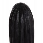 ΔΙΑΚΟΣΜΗΤΙΚΟΣ ΚΑΚΤΟΣ ΔΑΠΕΔΟΥ CACTUS HM4386.01L ΓΥΨΟΣ ΣΕ ΜΑΥΡΟ 63x37x150Υεκ.