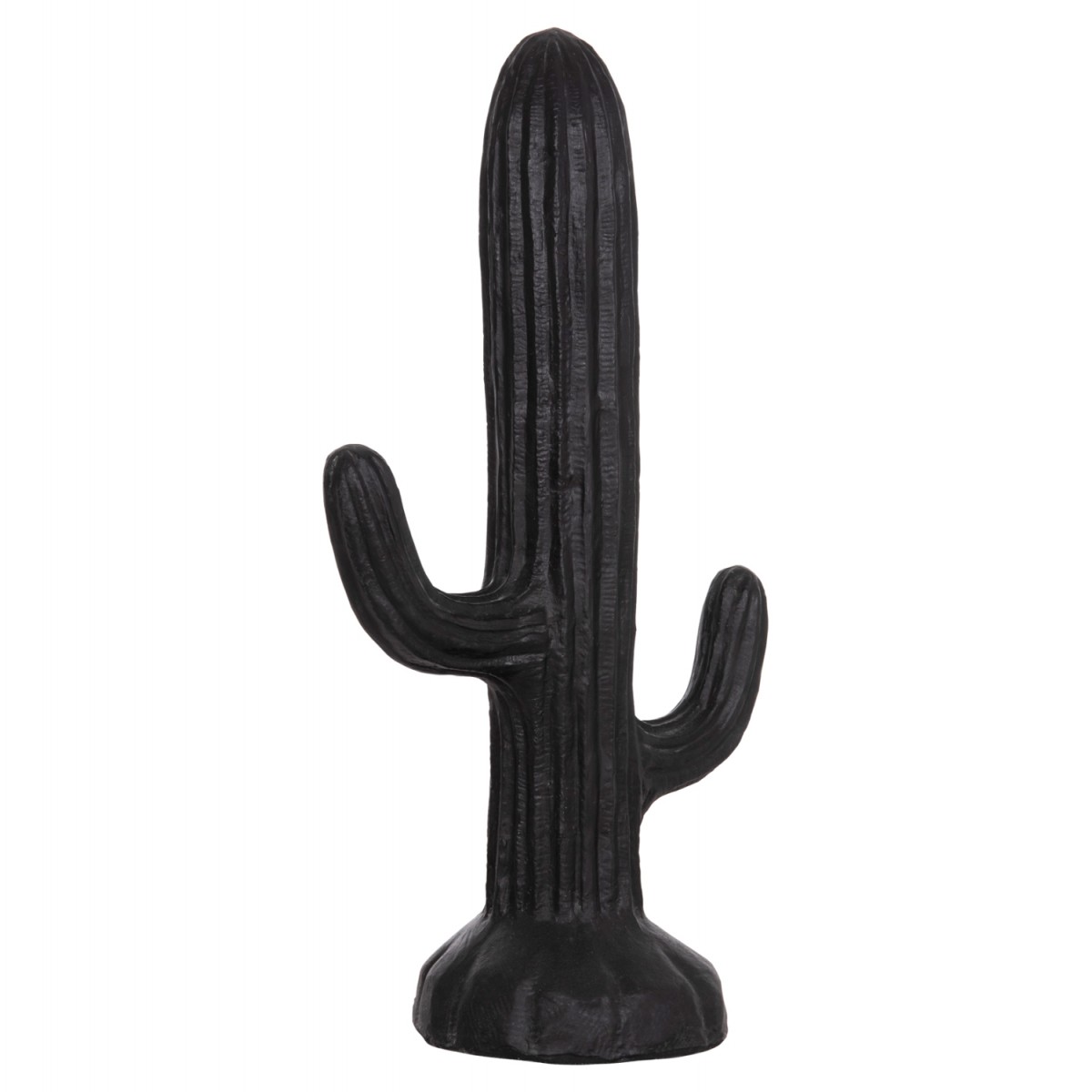 ΔΙΑΚΟΣΜΗΤΙΚΟΣ ΚΑΚΤΟΣ ΔΑΠΕΔΟΥ CACTUS HM4386.01M ΓΥΨΟΣ ΣΕ ΜΑΥΡΟ 54x34x103Υεκ.