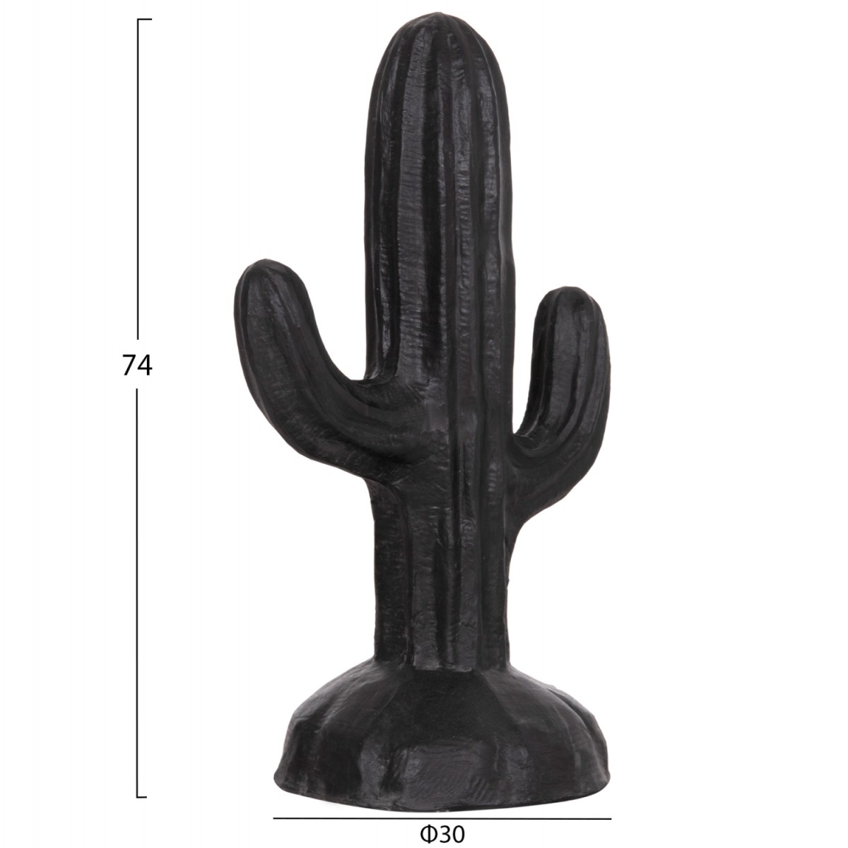 ΔΙΑΚΟΣΜΗΤΙΚΟΣ ΚΑΚΤΟΣ ΔΑΠΕΔΟΥ CACTUS HM4386.01S ΓΥΨΟΣ ΣΕ ΜΑΥΡΟ 42x30x74Υεκ.
