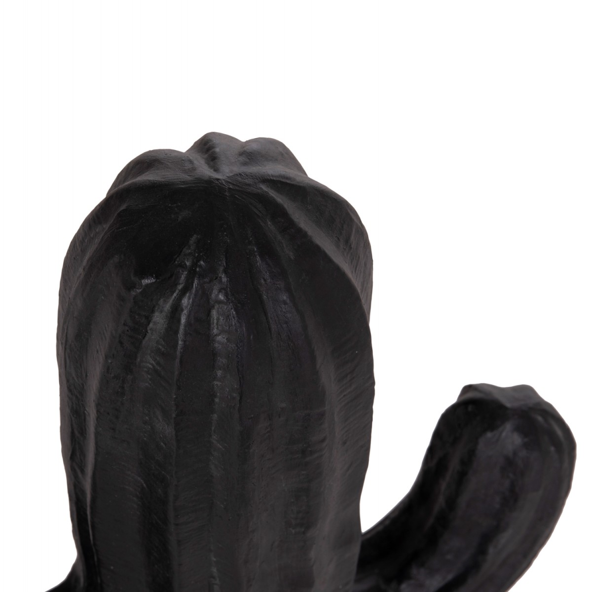 ΔΙΑΚΟΣΜΗΤΙΚΟΣ ΚΑΚΤΟΣ ΔΑΠΕΔΟΥ CACTUS HM4386.01S ΓΥΨΟΣ ΣΕ ΜΑΥΡΟ 42x30x74Υεκ.