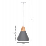 ΦΩΤΙΣΤΙΚΟ ΟΡΟΦΗΣ ΚΡΕΜΑΣΤΟ HM4145 ΓΚΡΙ ΜΕΤΑΛΛΙΚΟ ΚΑΠΕΛΟ Φ25x125Y εκ.