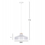 ΦΩΤΙΣΤΙΚΟ ΟΡΟΦΗΣ ΚΡΕΜΑΣΤΟ HM4159.02 ΛΕΥΚΟ ΜΕΤΑΛΛΙΚΟ ΚΑΠΕΛΟ Φ40x116Υεκ