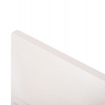 ΠΙΝΑΚΑΣ ΣΕΙΡΑ SANTORINI HM4506 MDF ΣΕ ΥΠΟΛΕΥΚΟ ΧΡΩΜΑ 80x4(πάχος)x120Υεκ.