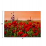 ΠΙΝΑΚΑΣ TOIXOY ΣΕΙΡΑ GOBI HM4760 ΕΚΤΥΠΩΜΕΝΟΣ ΚΑΜΒΑΣ 70x3(πάχος)x50Υεκ.