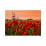 ΠΙΝΑΚΑΣ TOIXOY ΣΕΙΡΑ GOBI HM4760 ΕΚΤΥΠΩΜΕΝΟΣ ΚΑΜΒΑΣ 70x3(πάχος)x50Υεκ.