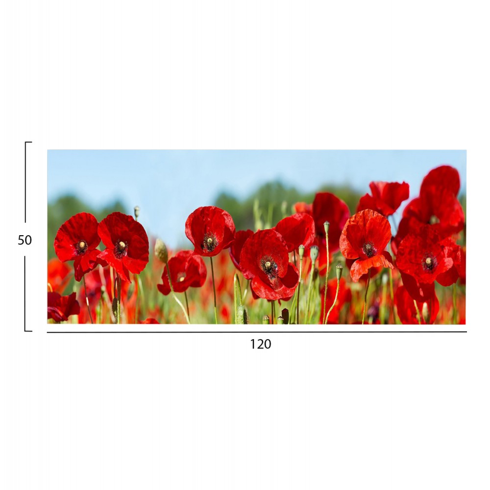 ΠΙΝΑΚΑΣ TOIXOY ΣΕΙΡΑ GOBI HM4786 ΕΚΤΥΠΩΜΕΝΟΣ ΚΑΜΒΑΣ 120x3(πάχος)x50Υεκ.