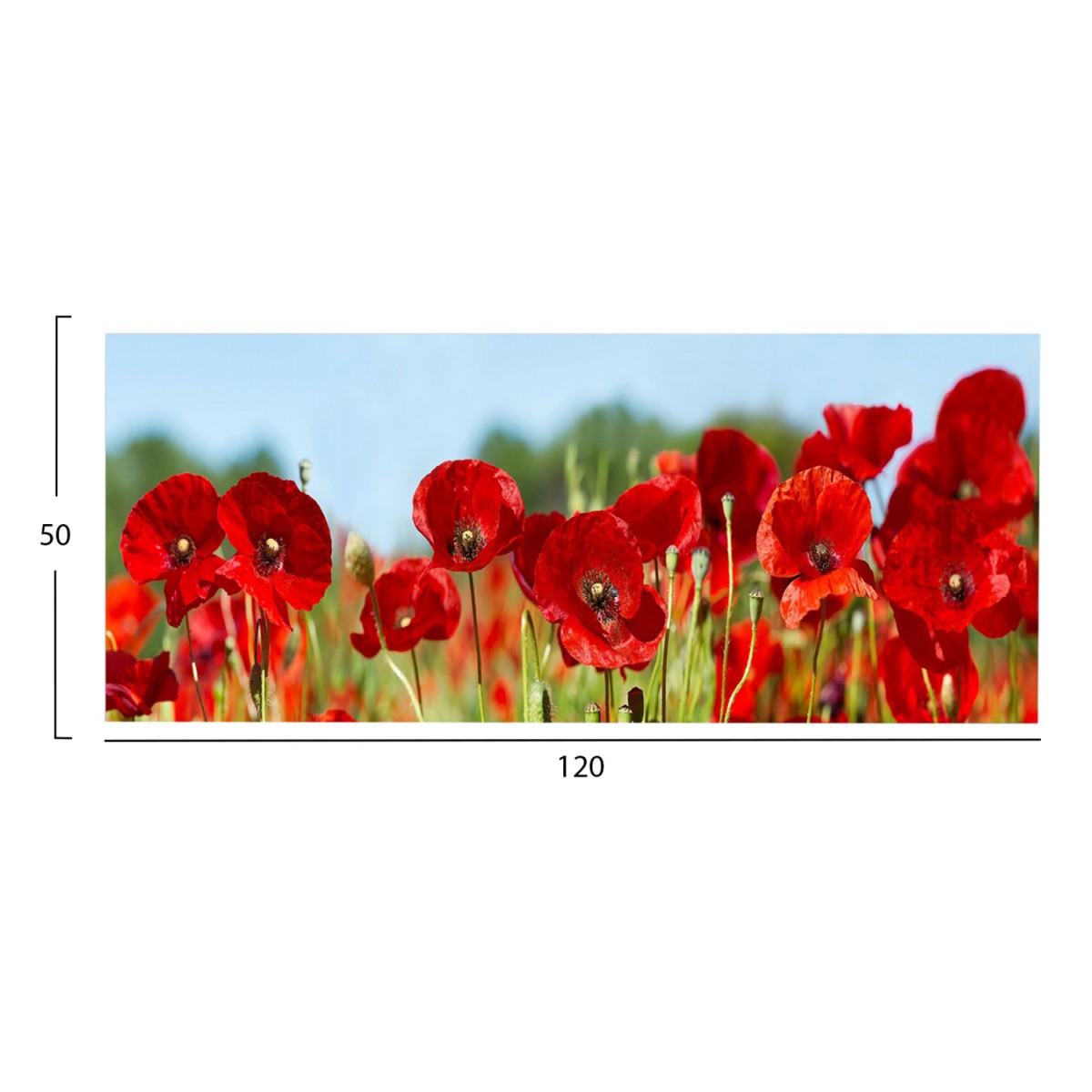 ΠΙΝΑΚΑΣ TOIXOY ΣΕΙΡΑ GOBI HM4786 ΕΚΤΥΠΩΜΕΝΟΣ ΚΑΜΒΑΣ 120x3(πάχος)x50Υεκ.