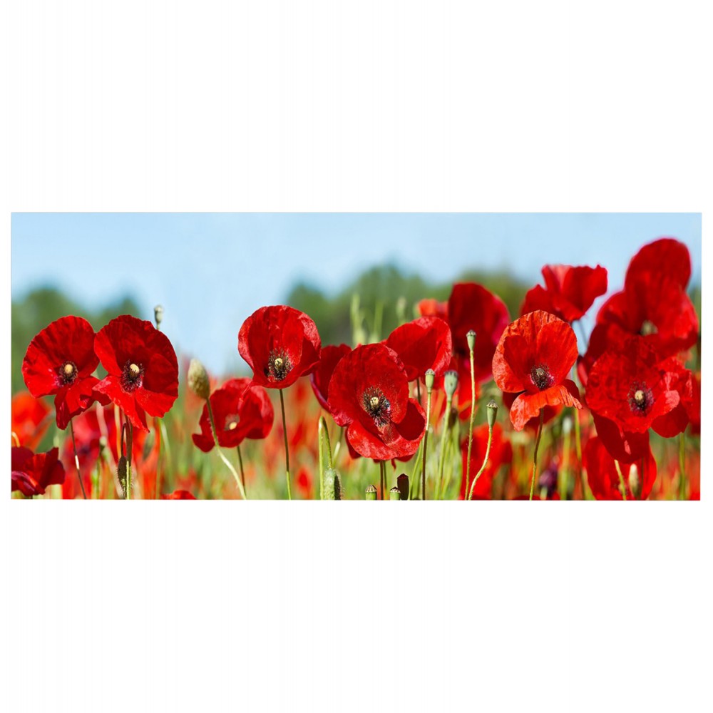 ΠΙΝΑΚΑΣ TOIXOY ΣΕΙΡΑ GOBI HM4786 ΕΚΤΥΠΩΜΕΝΟΣ ΚΑΜΒΑΣ 120x3(πάχος)x50Υεκ.