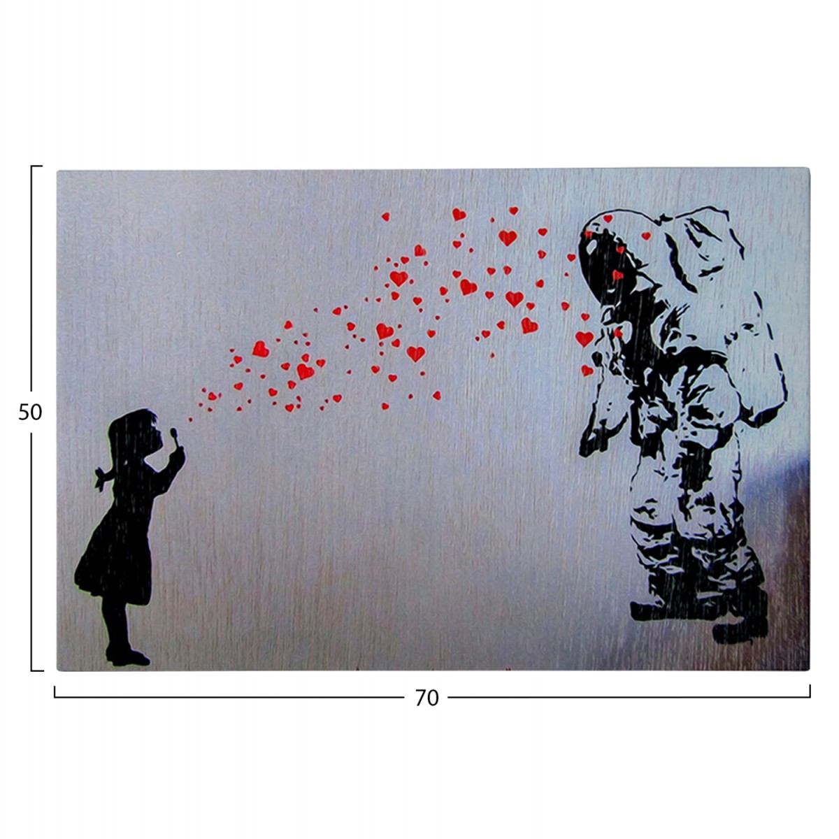 ΠΙΝΑΚΑΣ TOIXOY ΣΕΙΡΑ GOBI HM4815 ΕΚΤΥΠΩΜΕΝΟΣ ΚΑΜΒΑΣ 70x3(πάχος)x50Yεκ.