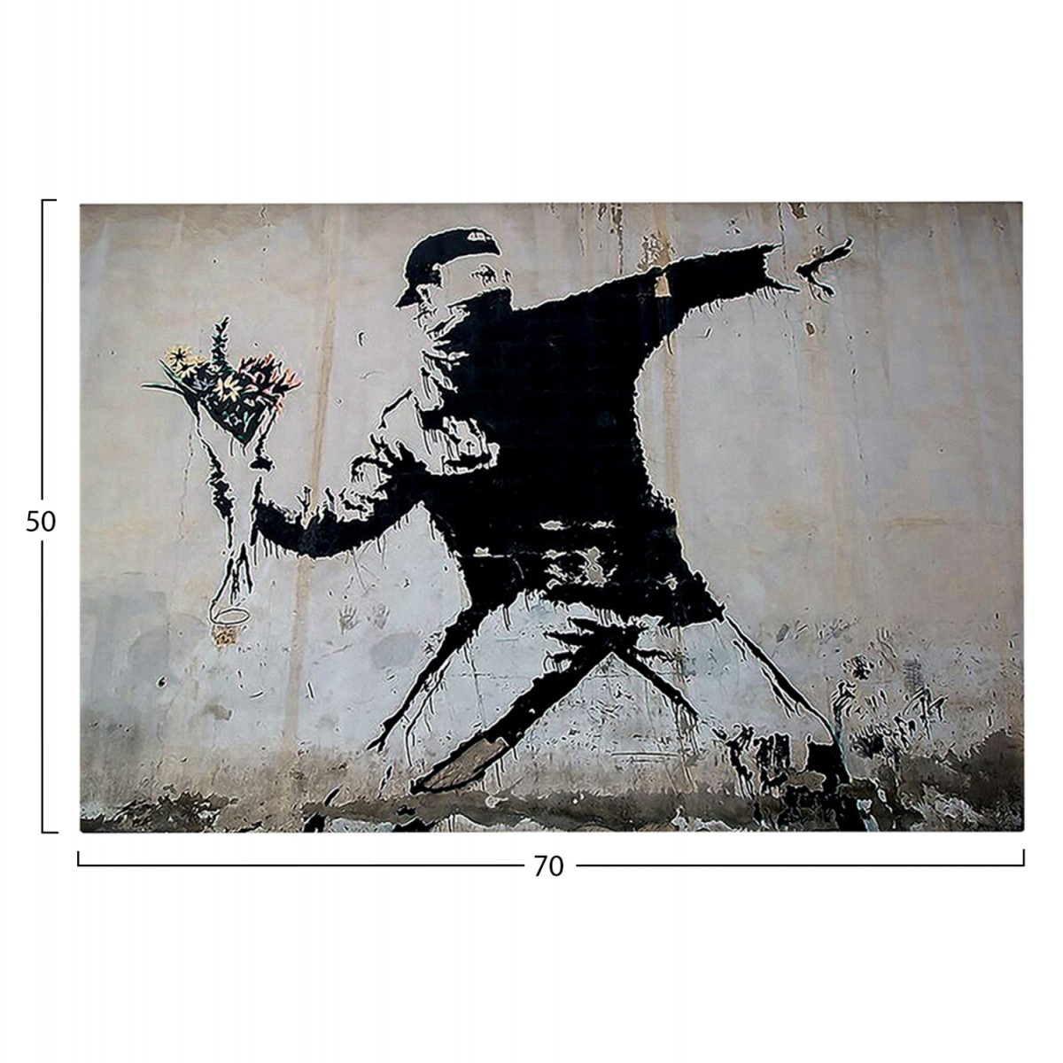 ΠΙΝΑΚΑΣ TOIXOY ΣΕΙΡΑ GOBI HM4817 ΕΚΤΥΠΩΜΕΝΟΣ ΚΑΜΒΑΣ 70x3(πάχος)x50Yεκ.