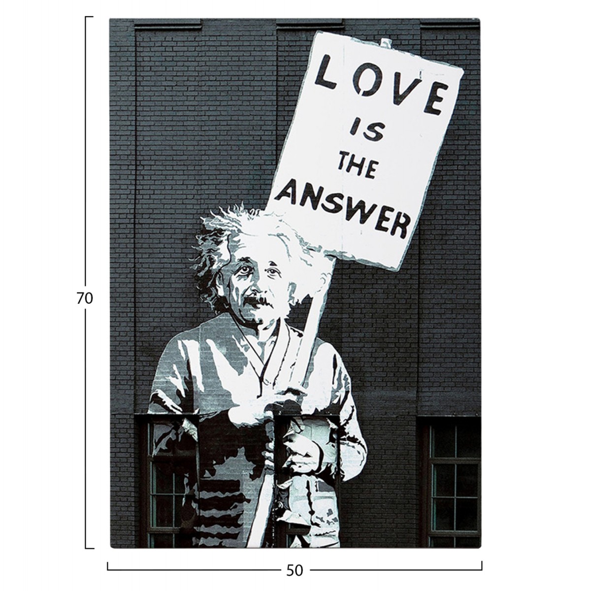 ΠΙΝΑΚΑΣ TOIXOY ΣΕΙΡΑ GOBI HM4818 ΕΚΤΥΠΩΜΕΝΟΣ ΚΑΜΒΑΣ 50x3(πάχος)x70Yεκ.