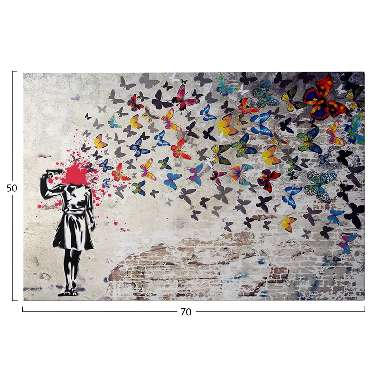 ΠΙΝΑΚΑΣ TOIXOY ΣΕΙΡΑ GOBI HM4820 ΕΚΤΥΠΩΜΕΝΟΣ ΚΑΜΒΑΣ 70x3(πάχος)x50Yεκ.