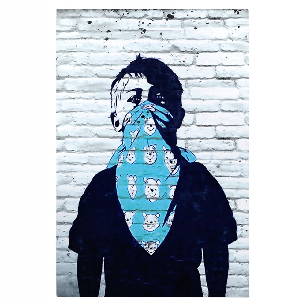 ΠΙΝΑΚΑΣ TOIXOY ΣΕΙΡΑ GOBI HM4829 ΕΚΤΥΠΩΜΕΝΟΣ ΚΑΜΒΑΣ 50x3(πάχος)x70Yεκ.