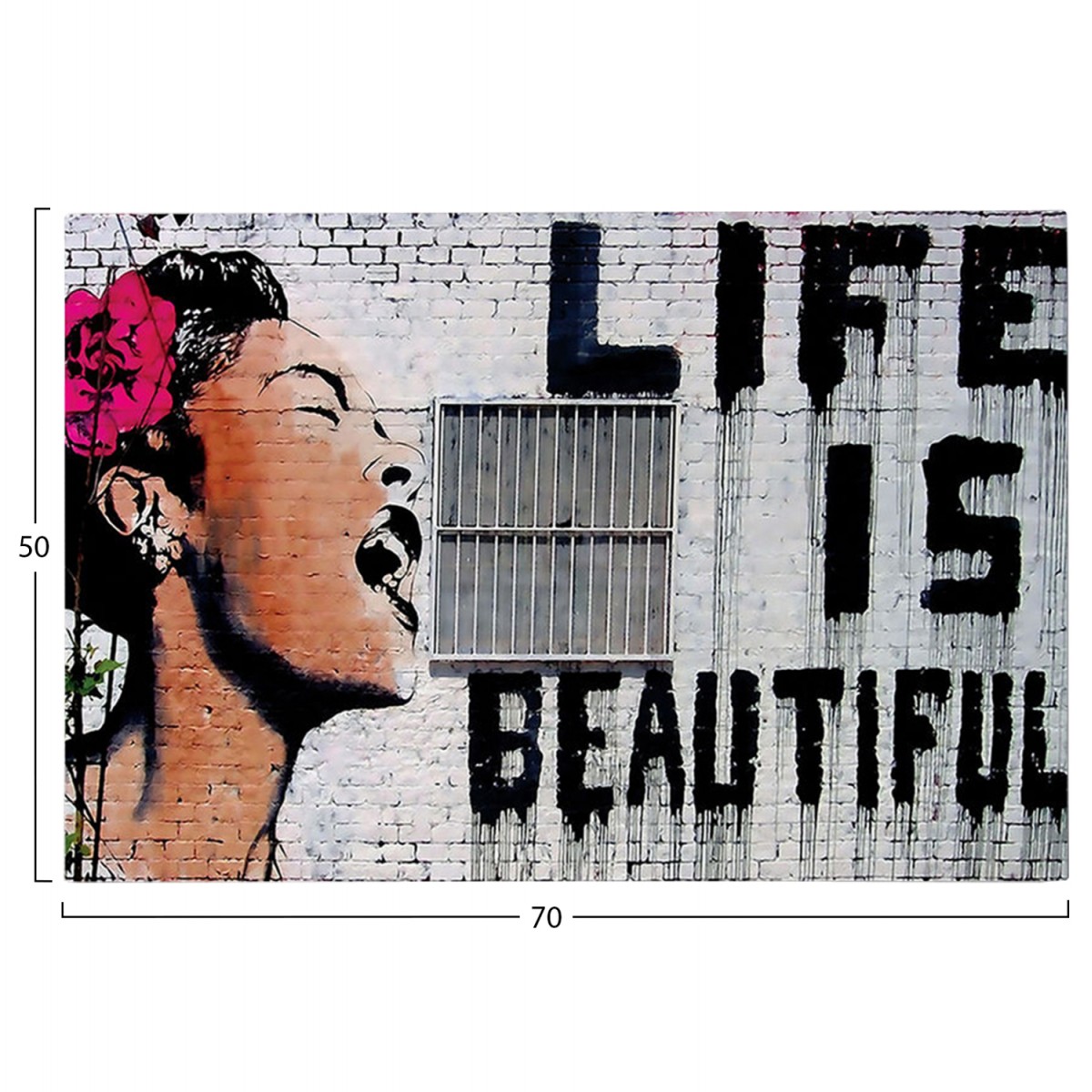 ΠΙΝΑΚΑΣ TOIXOY ΣΕΙΡΑ GOBI HM4830 ΕΚΤΥΠΩΜΕΝΟΣ ΚΑΜΒΑΣ 70x3(πάχος)x50Yεκ.