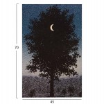 ΠΙΝΑΚΑΣ TOIXOY ΣΕΙΡΑ GOBI HM4850 ΕΚΤΥΠΩΜΕΝΟΣ ΚΑΜΒΑΣ 45x3(πάχος)x70Yεκ.