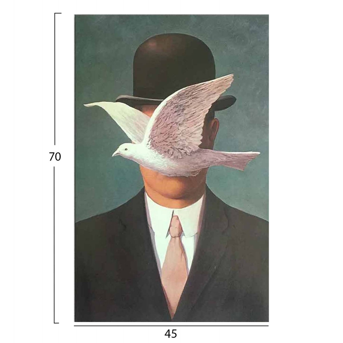 ΠΙΝΑΚΑΣ TOIXOY ΣΕΙΡΑ GOBI HM4852 ΕΚΤΥΠΩΜΕΝΟΣ ΚΑΜΒΑΣ 45x3(πάχος)x70Yεκ.